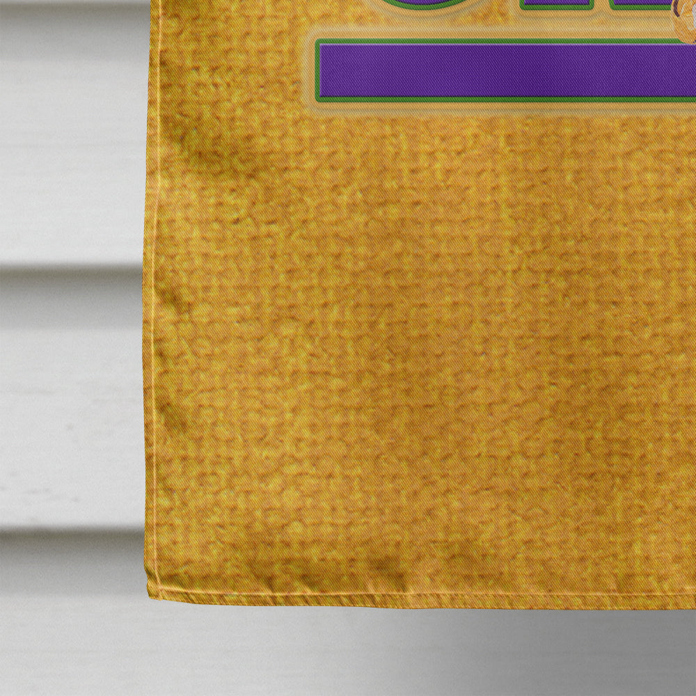 Mardi Gras House Flag 28x40 Porch Sleeve Pole Decorative Outside Yard Banner Artwork Wall Hanging, Polyester