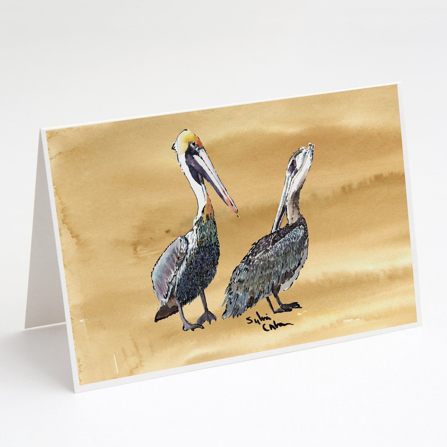 Pelican Greeting Cards Pack of 8 Blank Cards with Envelopes Whimsical A7 Size 5x7
