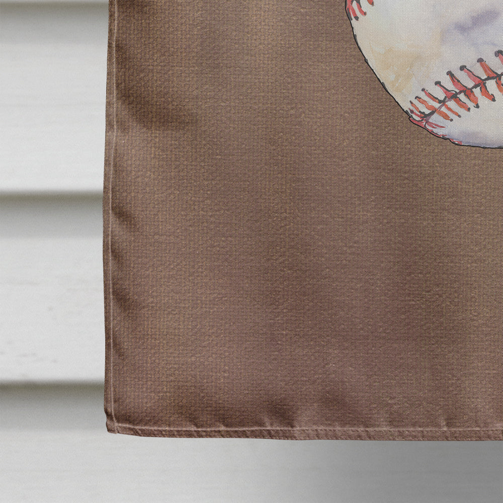 Baseball House Flag 28x40 Porch Sleeve Pole Decorative Outside Yard Banner Artwork Wall Hanging, Polyester