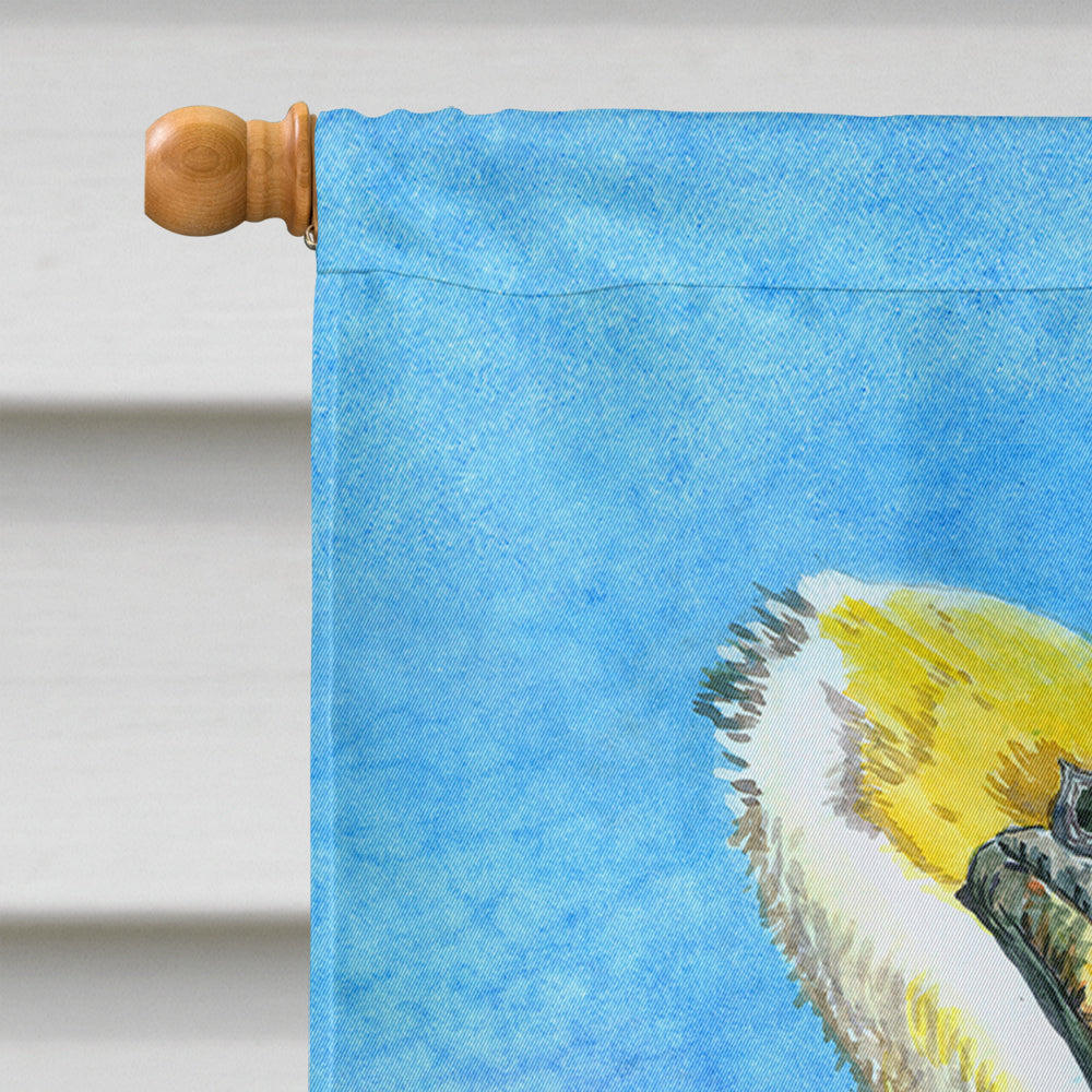 Pelican House Flag 28x40 Porch Sleeve Pole Decorative Outside Yard Banner Artwork Wall Hanging, Polyester