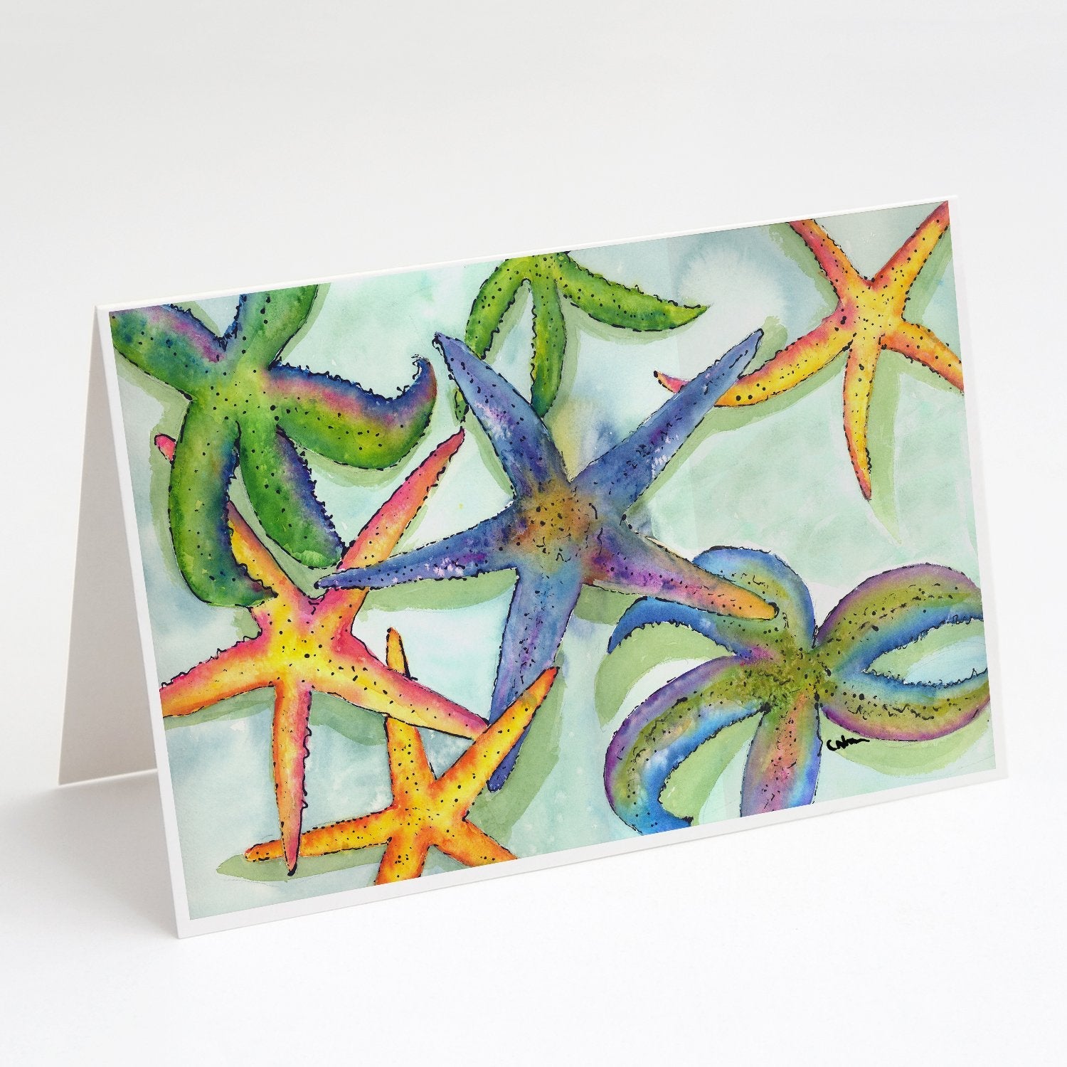 Starfish Greeting Cards Pack of 8 Blank Cards with Envelopes Whimsical A7 Size 5x7