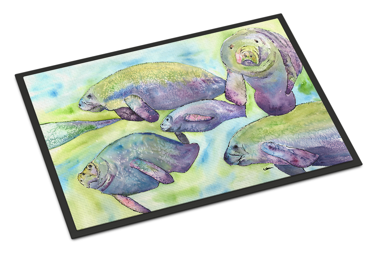 Manatee Doormat Indoor Outdoor 24H X 36W Front Door Mat Rugs for Entryway, Non Slip Washable Low Pile,