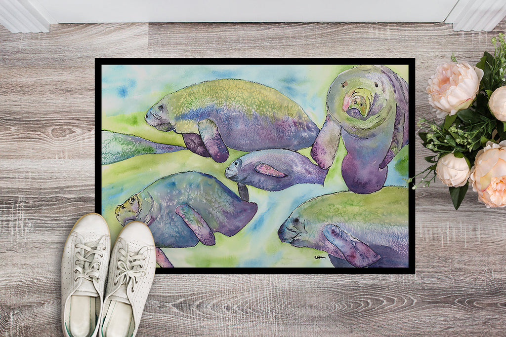 Manatee Doormat Indoor Outdoor 24H X 36W Front Door Mat Rugs for Entryway, Non Slip Washable Low Pile,