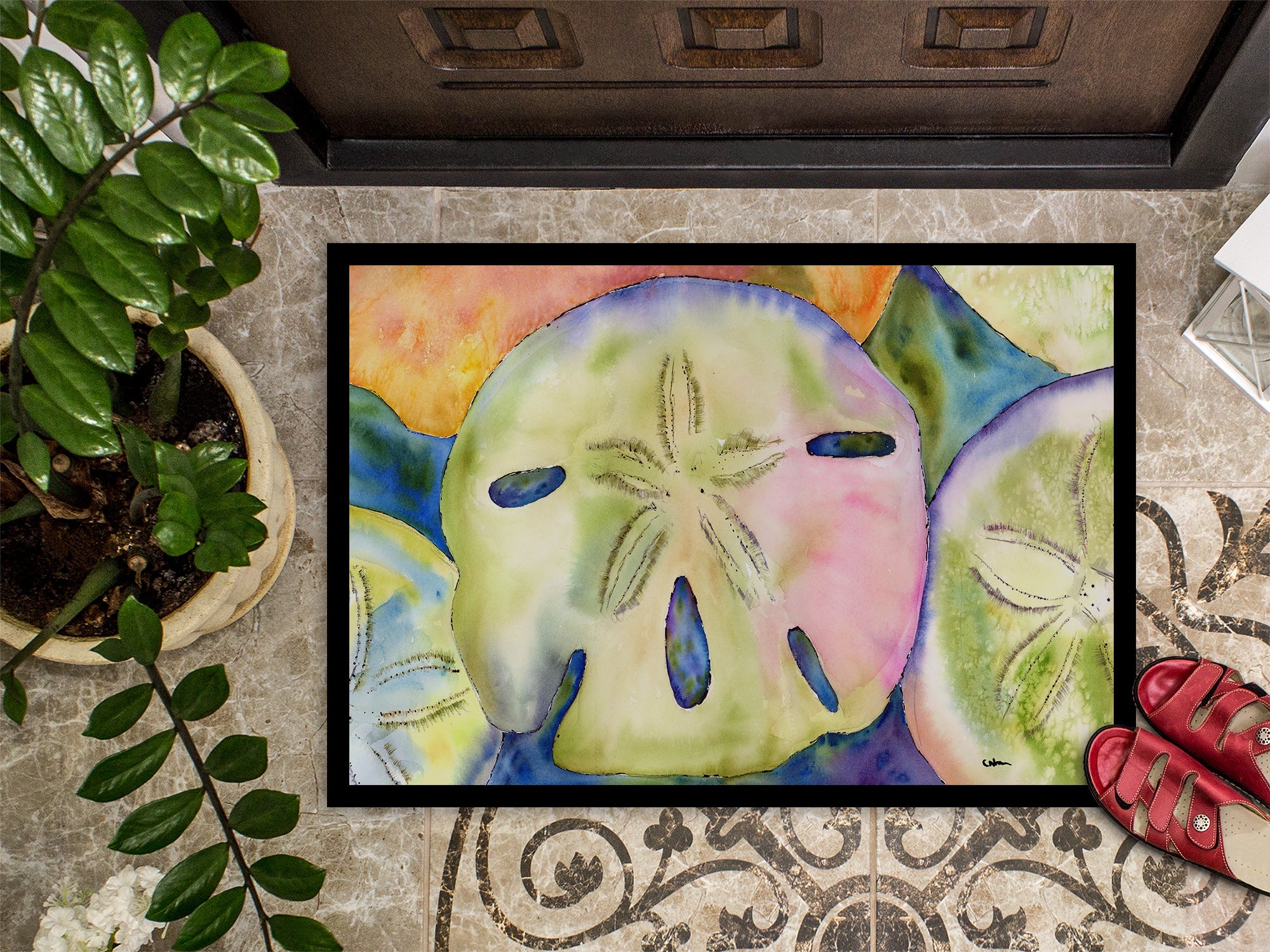 Sand Dollar Doormat Indoor Outdoor 24H X 36W Front Door Mat Rugs for Entryway, Non Slip Washable Low Pile,