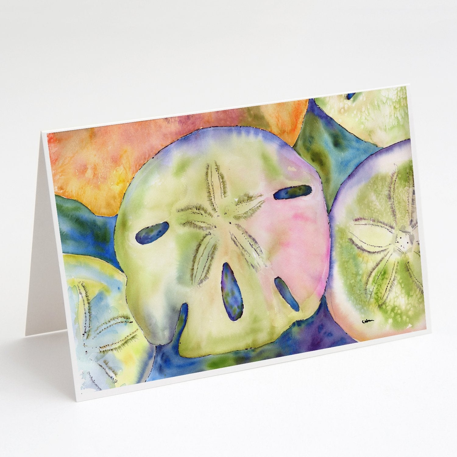 Sand Dollar Greeting Cards Pack of 8 Blank Cards with Envelopes Whimsical A7 Size 5x7