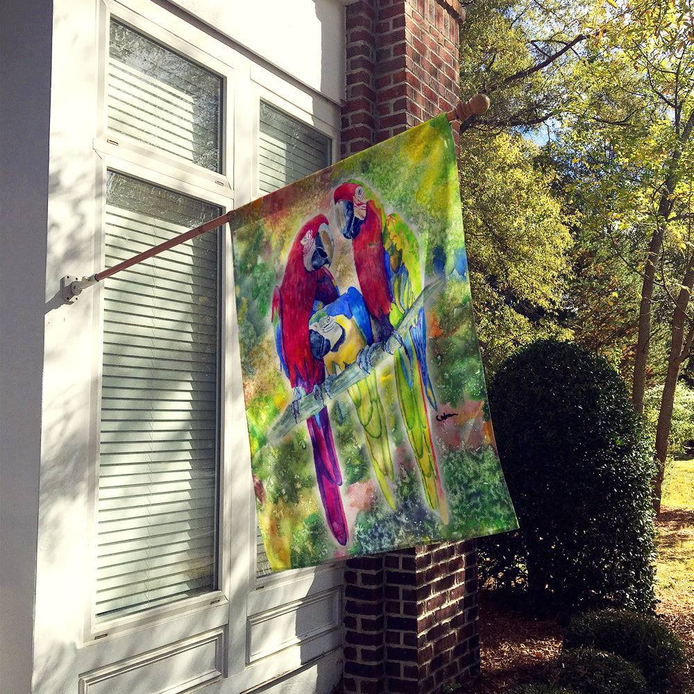 Parrot  Parrot Head House Flag 28x40 Porch Sleeve Pole Decorative Outside Yard Banner Artwork Wall Hanging, Polyester