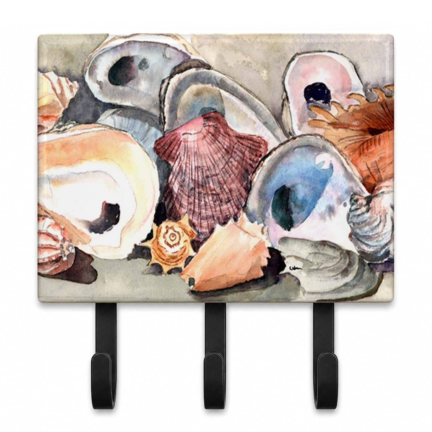 Sea Shells Leash or Key Holder Wall Hooks, Coat Rack Wall Mount, for Hanging Keys, Towels, Aprons, Leashes