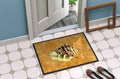 Shell Doormat Indoor Outdoor 24H X 36W Front Door Mat Rugs for Entryway, Non Slip Washable Low Pile,