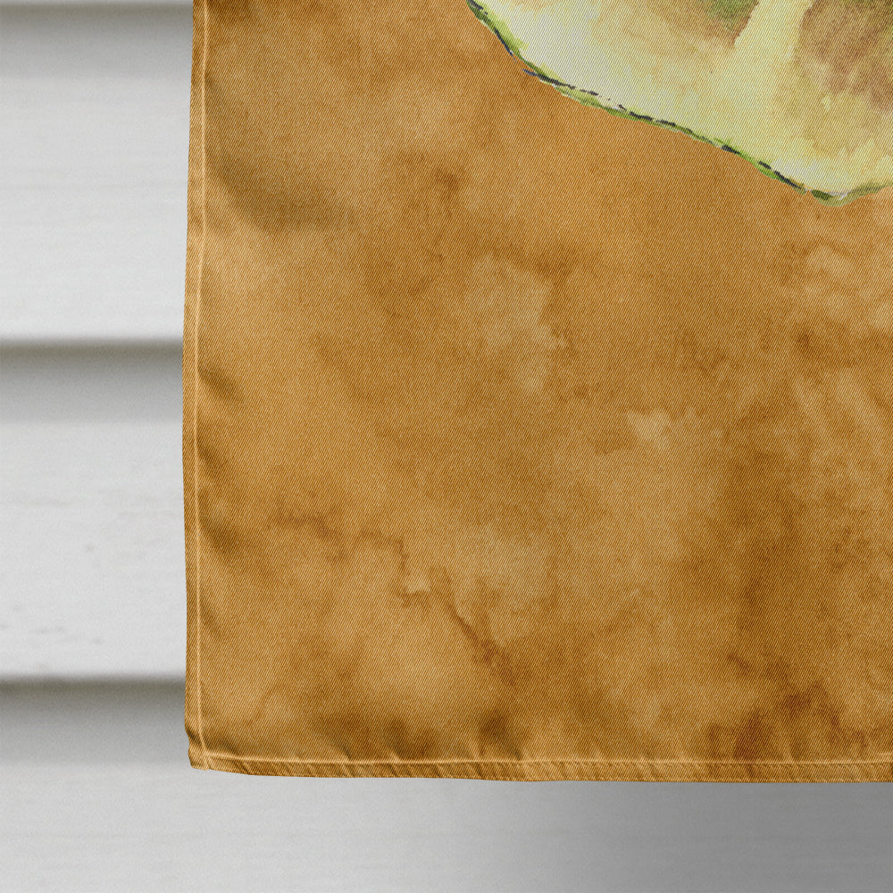 Shell House Flag 28x40 Porch Sleeve Pole Decorative Outside Yard Banner Artwork Wall Hanging, Polyester