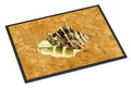 Shell Doormat Indoor Outdoor 18H X 27W Front Door Mat Rugs for Entryway, Non Slip Washable