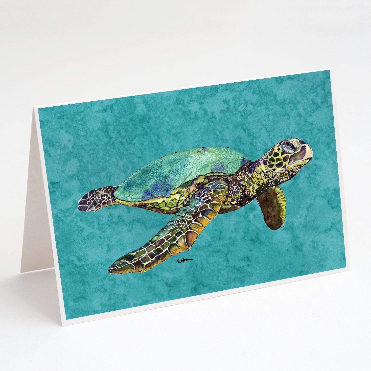 Turtle Greeting Cards Pack of 8 Blank Cards with Envelopes Whimsical A7 Size 5x7