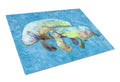 Manatee Cutting Board Tempered Glass Kitchen Cutting Surface, Heat Resistant Chopping, Non-Slip Feet, Food Prep & Serving