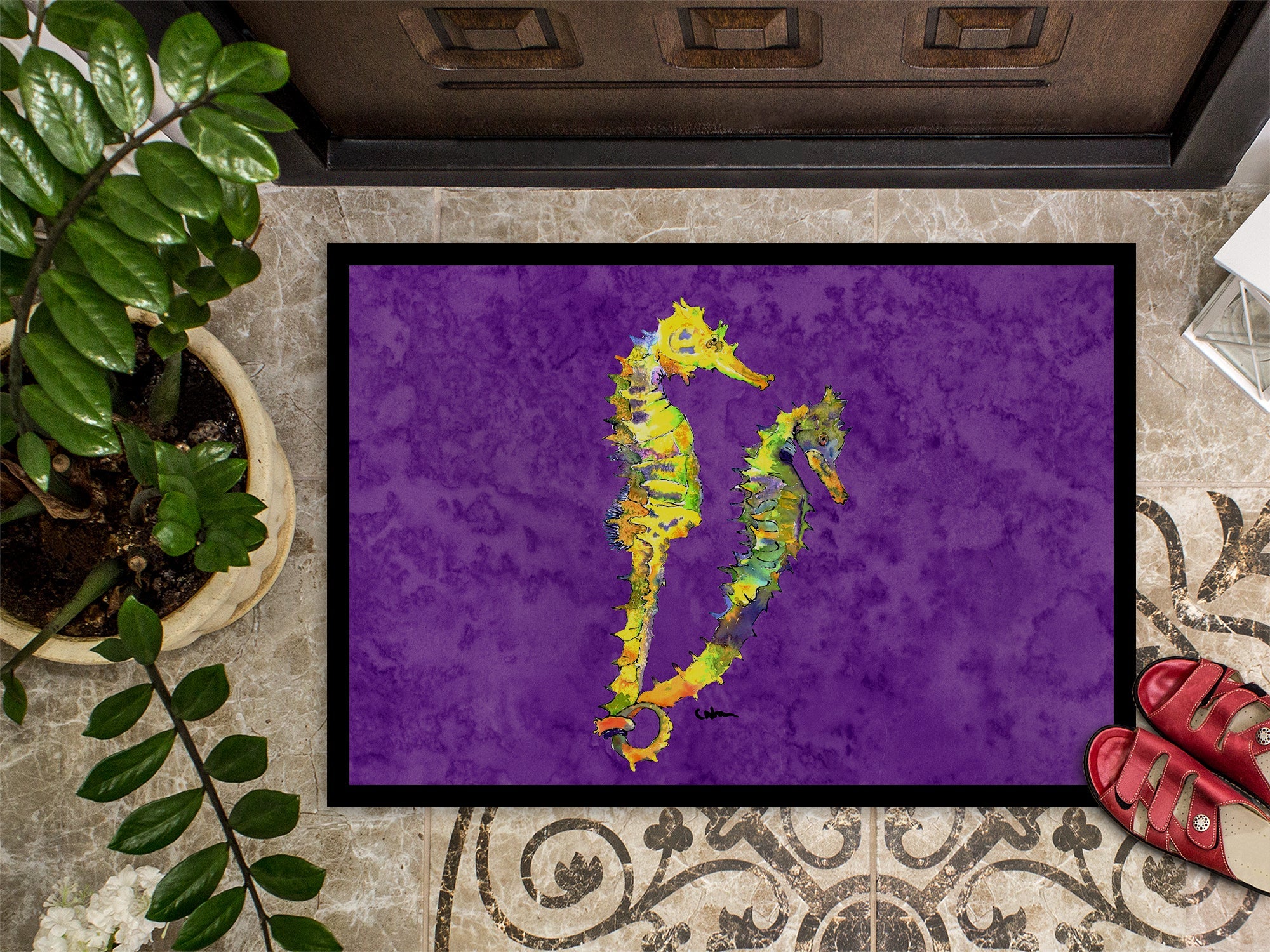 Seahorse Doormat Indoor Outdoor 24H X 36W Front Door Mat Rugs for Entryway, Non Slip Washable Low Pile,