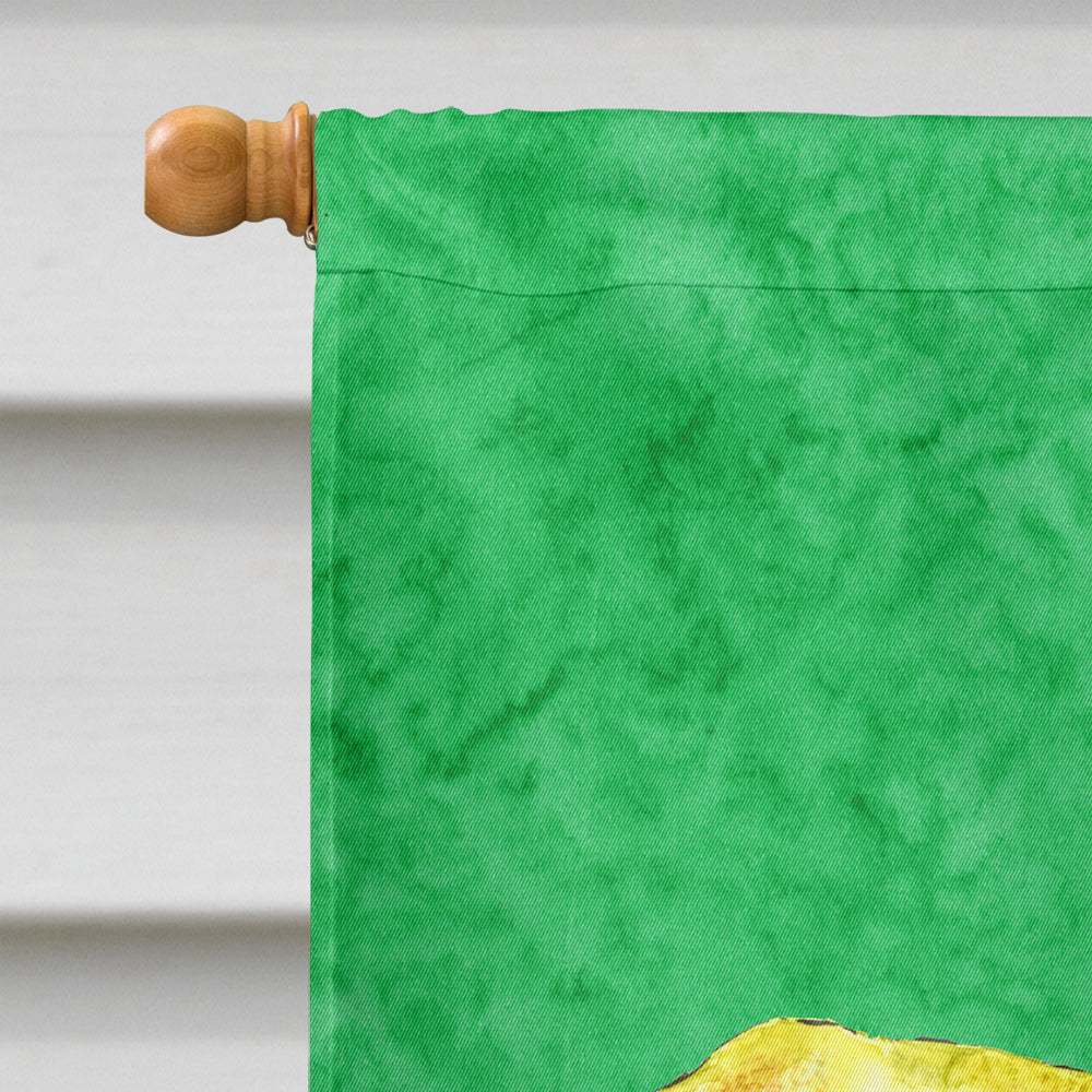 Turtle House Flag 28x40 Porch Sleeve Pole Decorative Outside Yard Banner Artwork Wall Hanging, Polyester