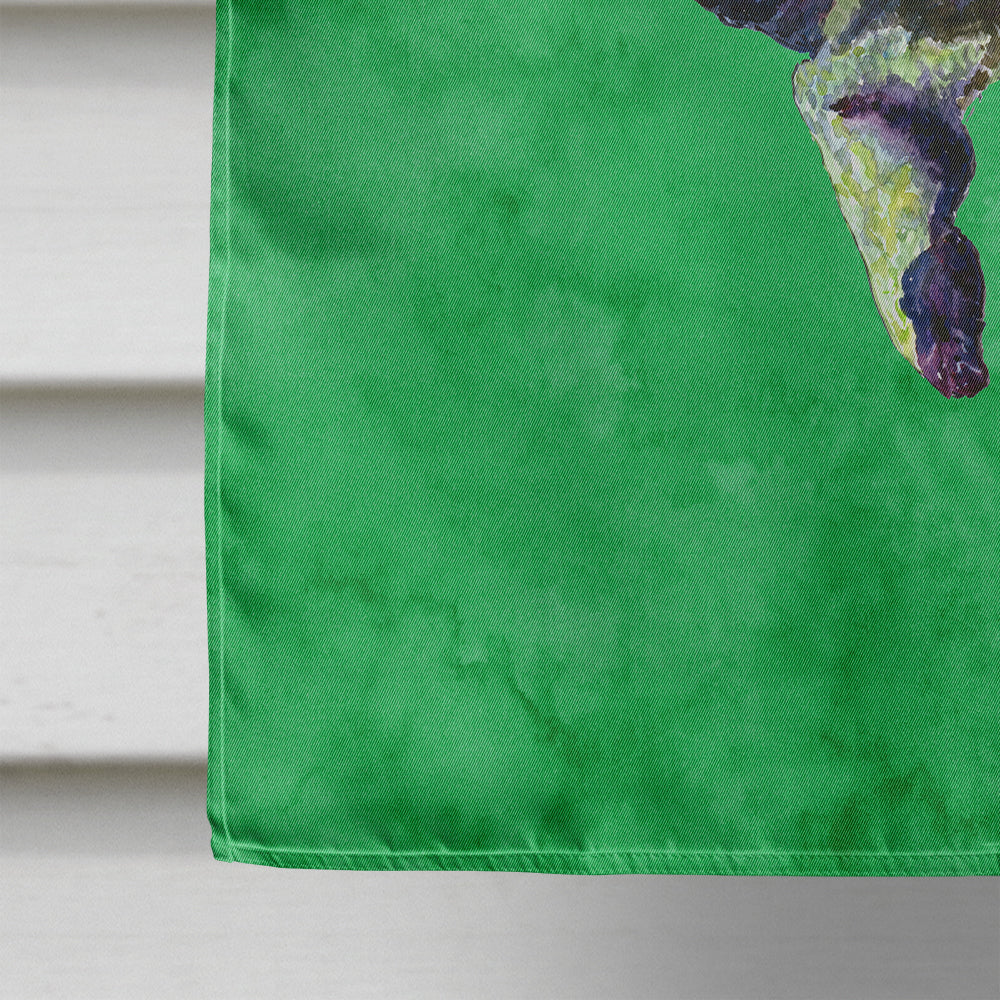 Turtle House Flag 28x40 Porch Sleeve Pole Decorative Outside Yard Banner Artwork Wall Hanging, Polyester