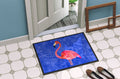 Flamingo Doormat Indoor Outdoor 24H X 36W Front Door Mat Rugs for Entryway, Non Slip Washable Low Pile,