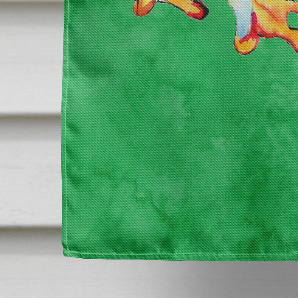 Frog House Flag 28x40 Porch Sleeve Pole Decorative Outside Yard Banner Artwork Wall Hanging, Polyester
