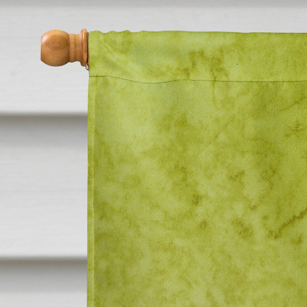 Frog House Flag 28x40 Porch Sleeve Pole Decorative Outside Yard Banner Artwork Wall Hanging, Polyester