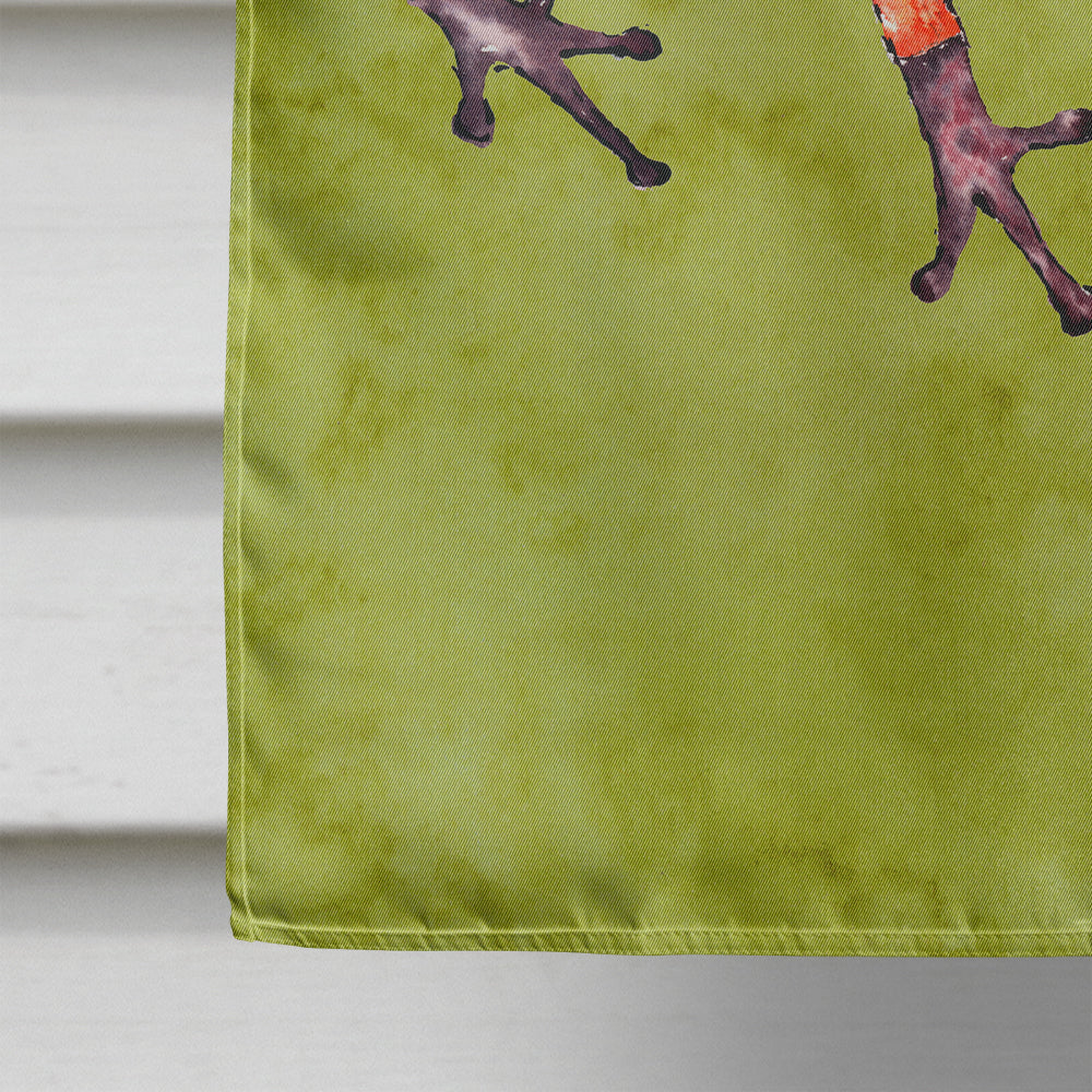 Frog House Flag 28x40 Porch Sleeve Pole Decorative Outside Yard Banner Artwork Wall Hanging, Polyester