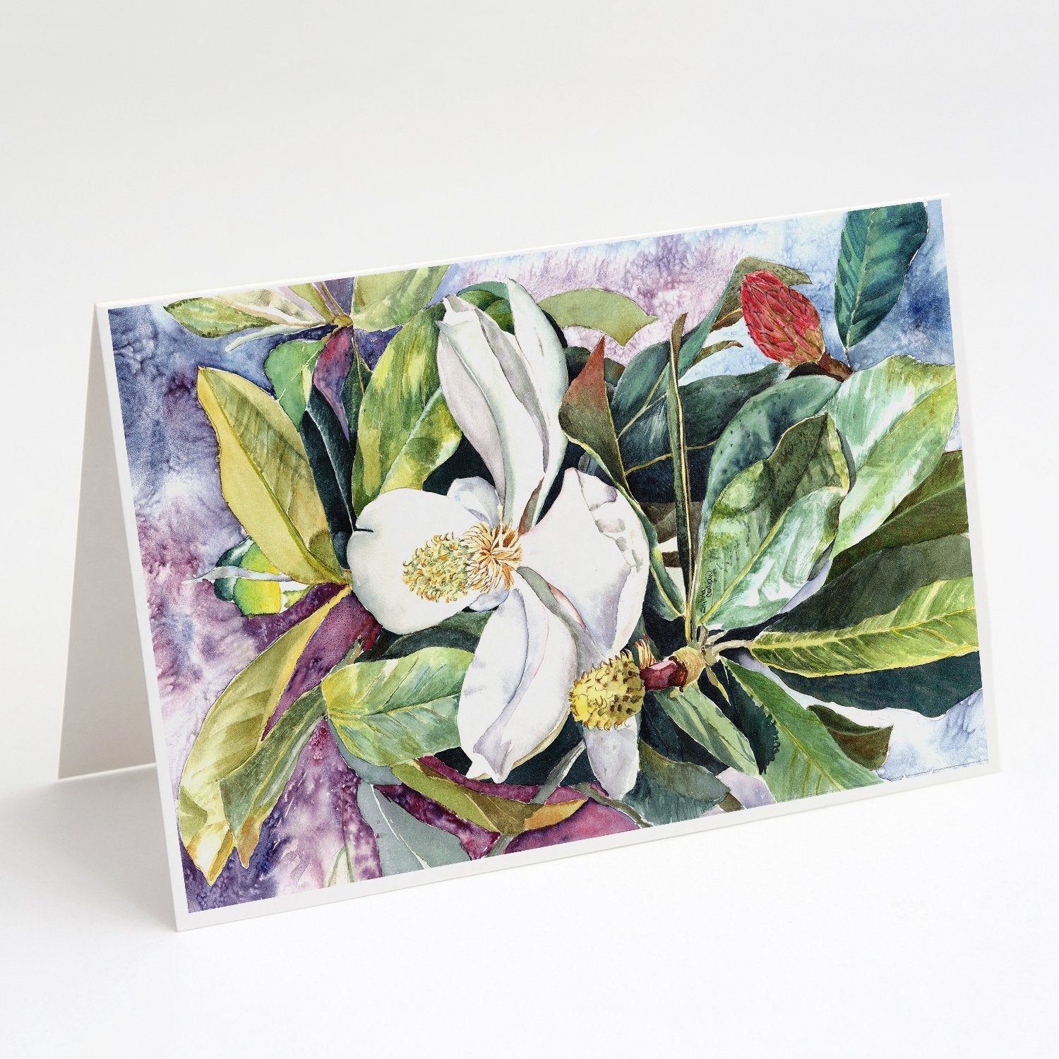 Magnolia Greeting Cards Pack of 8 Blank Cards with Envelopes Whimsical A7 Size 5x7