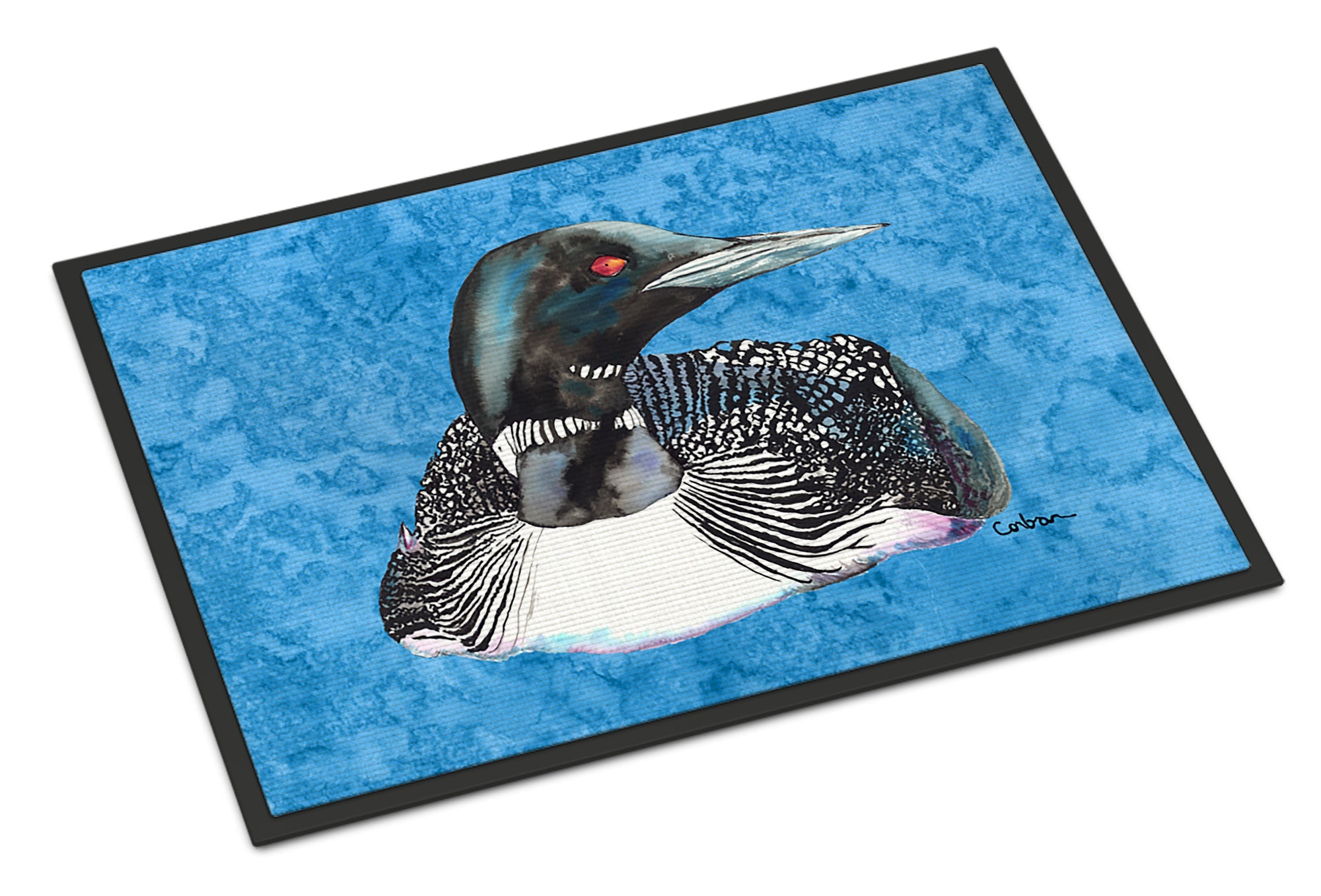 Loon Doormat Indoor Outdoor 24H X 36W Front Door Mat Rugs for Entryway, Non Slip Washable Low Pile,