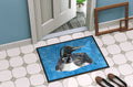 Loon Doormat Indoor Outdoor 24H X 36W Front Door Mat Rugs for Entryway, Non Slip Washable Low Pile,