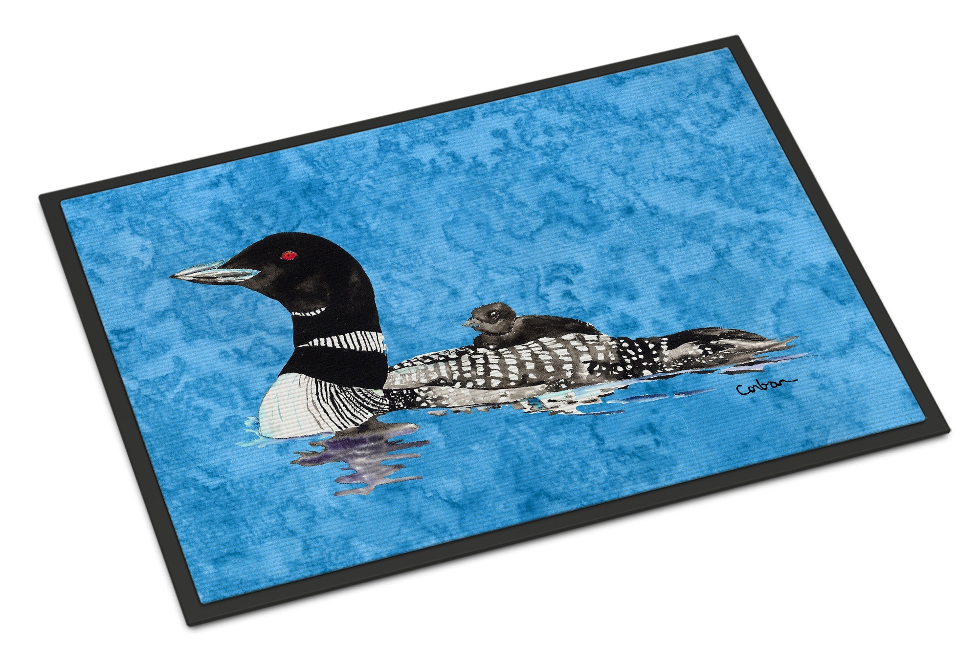 Momma and Baby Loon Doormat Indoor Outdoor 24H X 36W Front Door Mat Rugs for Entryway, Non Slip Washable Low Pile,