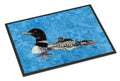 Momma and Baby Loon Doormat Indoor Outdoor 18H X 27W Front Door Mat Rugs for Entryway, Non Slip Washable