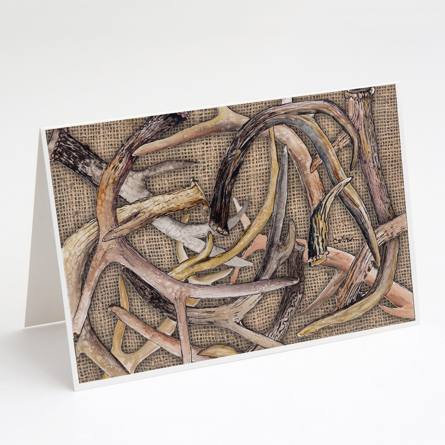 Deer Horns Greeting Cards Pack of 8 Blank Cards with Envelopes Whimsical A7 Size 5x7