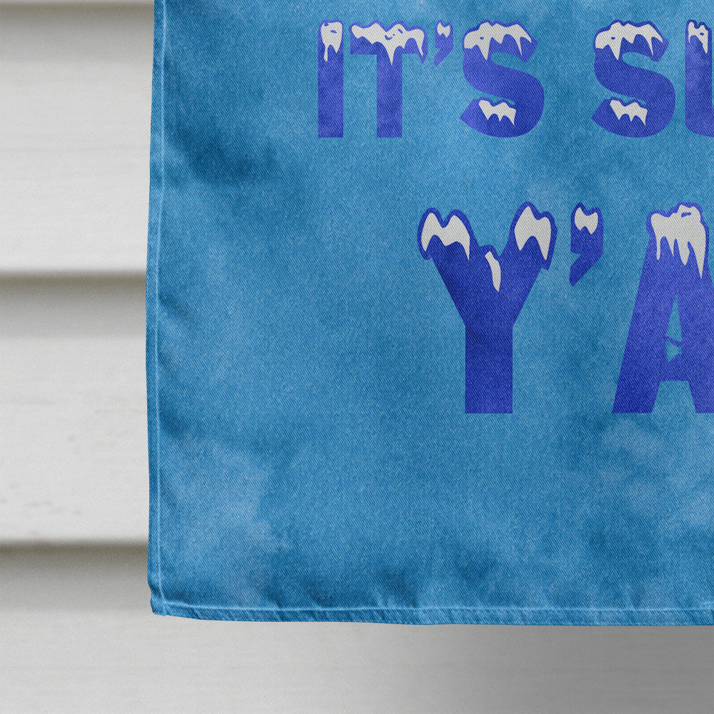 Snowballs and Snowcones House Flag 28x40 Porch Sleeve Pole Decorative Outside Yard Banner Artwork Wall Hanging, Polyester