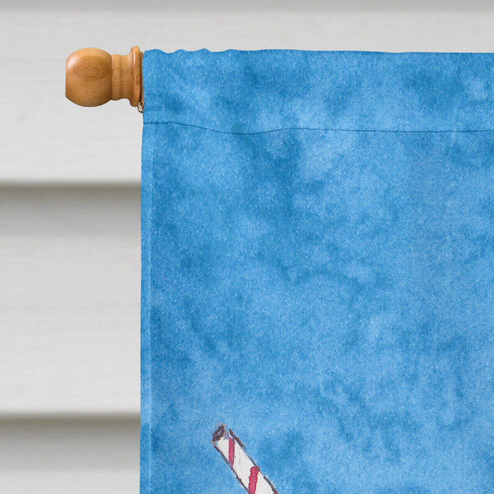 Snowballs and Snowcones House Flag 28x40 Porch Sleeve Pole Decorative Outside Yard Banner Artwork Wall Hanging, Polyester