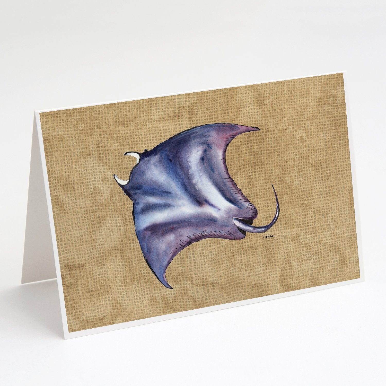 Stingray Greeting Cards Pack of 8 Blank Cards with Envelopes Whimsical A7 Size 5x7