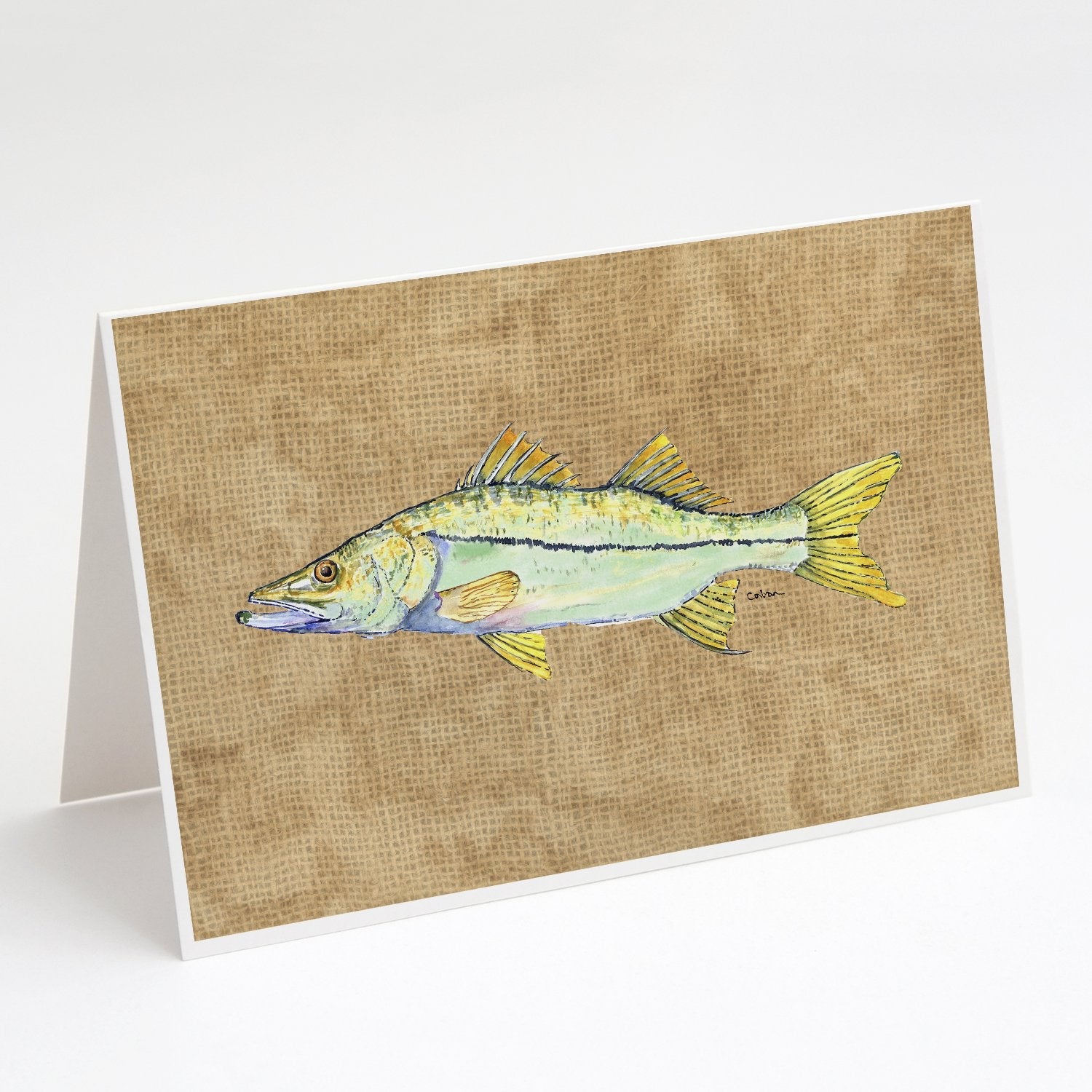 Snook Greeting Cards Pack of 8 Blank Cards with Envelopes Whimsical A7 Size 5x7
