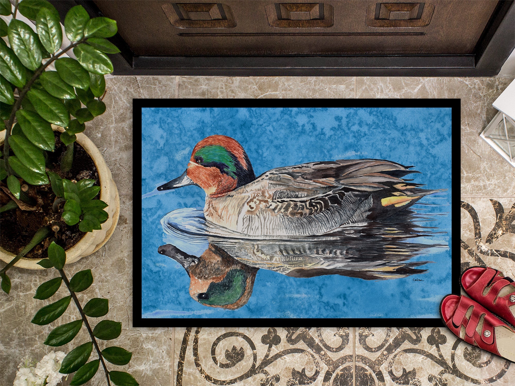 Teal Duck Doormat Indoor Outdoor 24H X 36W Front Door Mat Rugs for Entryway, Non Slip Washable Low Pile,
