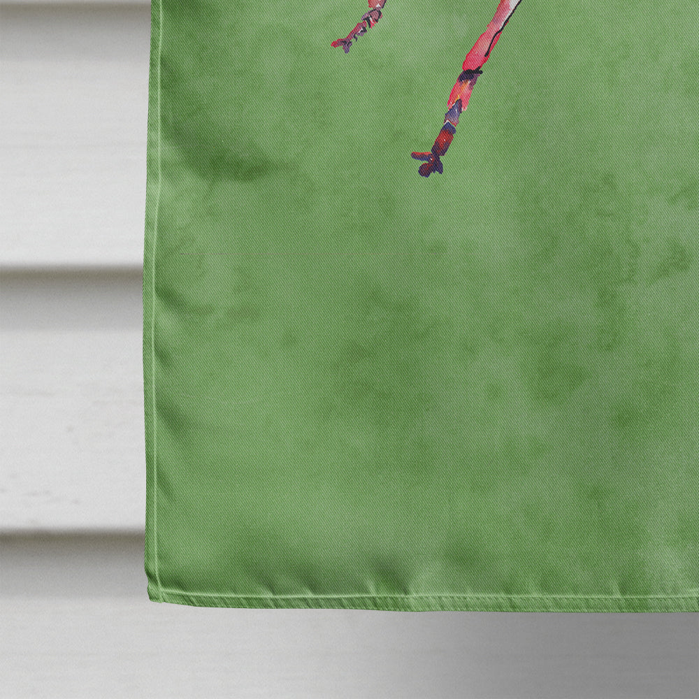 Grasshopper on Avacado House Flag 28x40 Porch Sleeve Pole Decorative Outside Yard Banner Artwork Wall Hanging, Polyester