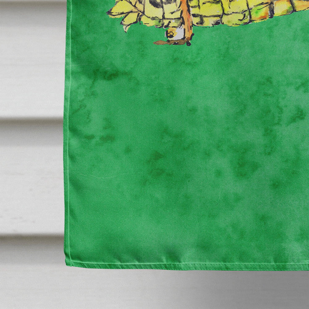 Grasshopper on Green House Flag 28x40 Porch Sleeve Pole Decorative Outside Yard Banner Artwork Wall Hanging, Polyester