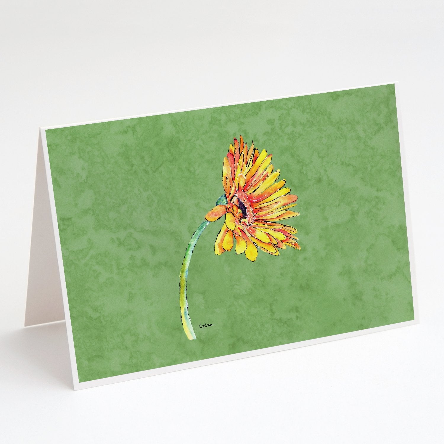 Gerber Daisy Orange Greeting Cards Pack of 8 Blank Cards with Envelopes Whimsical A7 Size 5x7