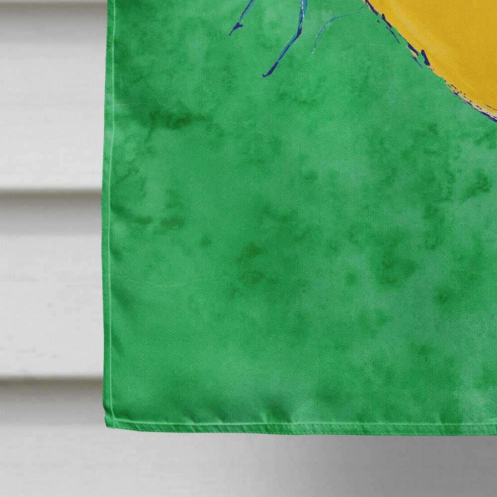 Butterfly Orange on Green House Flag 28x40 Porch Sleeve Pole Decorative Outside Yard Banner Artwork Wall Hanging, Polyester