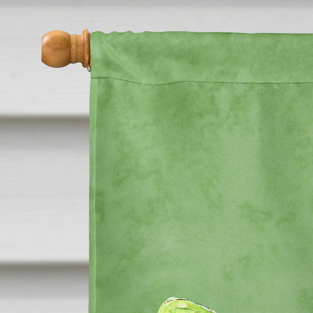 Dragonfly on Avacado House Flag 28x40 Porch Sleeve Pole Decorative Outside Yard Banner Artwork Wall Hanging, Polyester