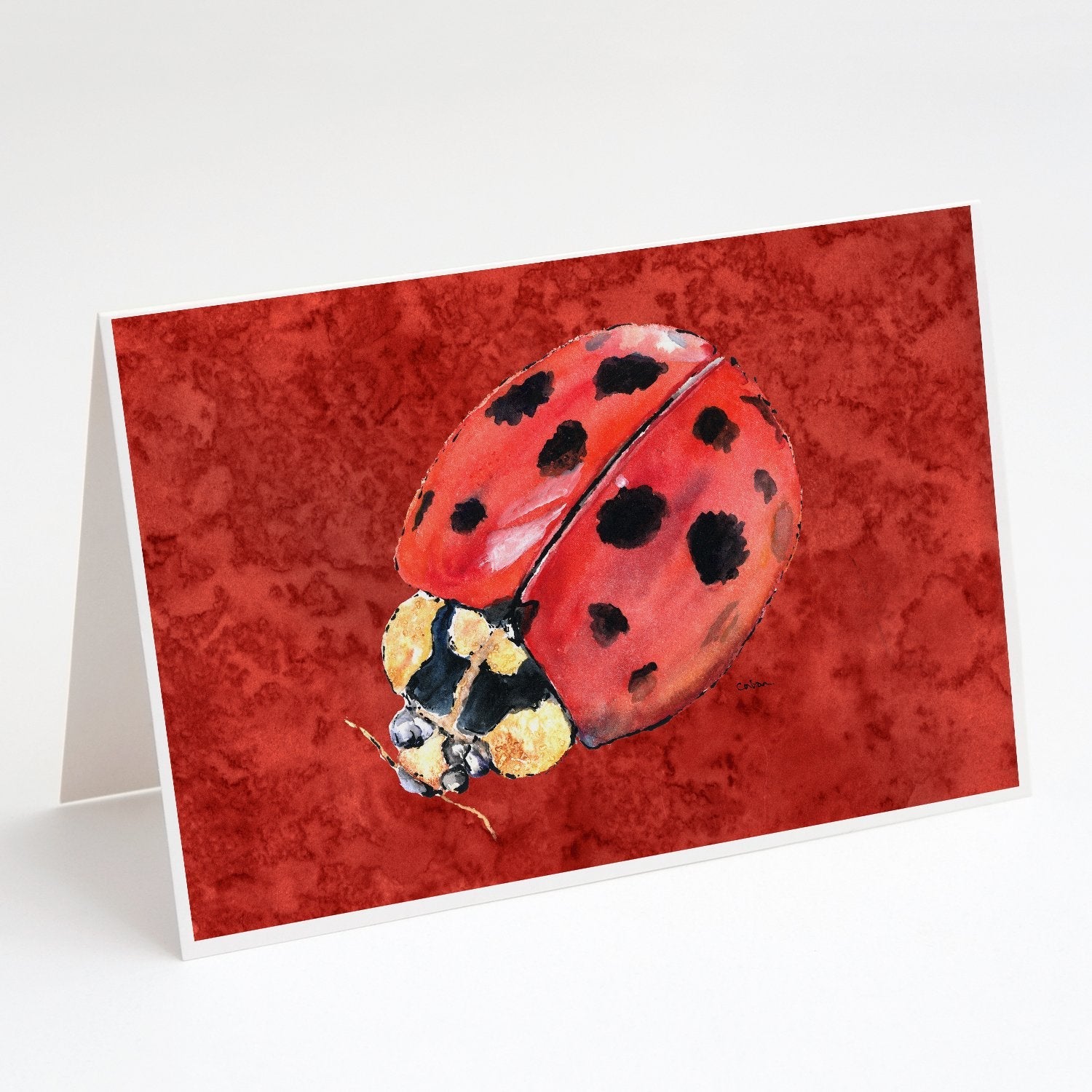 Lady Bug on Deep Red Greeting Cards Pack of 8 Blank Cards with Envelopes Whimsical A7 Size 5x7
