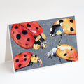 Lady Bug Multiple Greeting Cards Pack of 8 Blank Cards with Envelopes Whimsical A7 Size 5x7