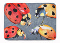 Lady Bug Multiple Memory Foam Kitchen Mat Machine Washable Anti-Fatigue Cushion Comfort Bath or Kitchen Rug