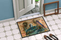 Abstract Pelicans Doormat Indoor Outdoor 24H X 36W Front Door Mat Rugs for Entryway, Non Slip Washable Low Pile,