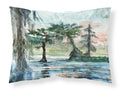 In the Swamp Standard Pillowcase Lightweight Super Soft Easy Care Decorative Artwork Pillowcase, Standard