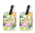 Sand Dollar Luggage Tag
