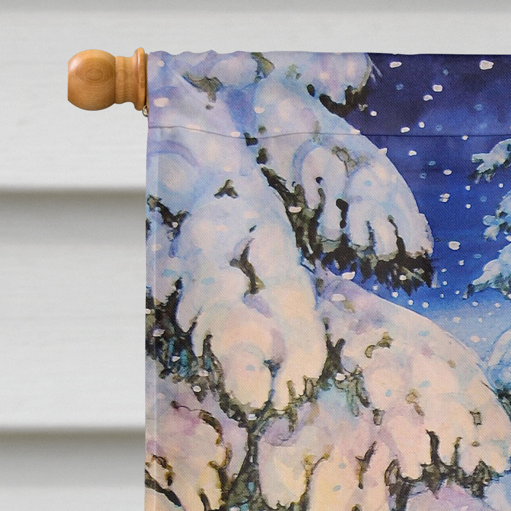 Christmas Gnome pulling a sled House Flag 28x40 Porch Sleeve Pole Decorative Outside Yard Banner Artwork Wall Hanging, Polyester