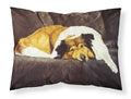 Collie by Tanya and Craig Amberson Standard Pillowcase Lightweight Super Soft Easy Care Decorative Artwork Pillowcase, Standard