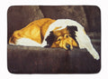 Collie by Tanya and Craig Amberson Memory Foam Kitchen Mat Machine Washable Anti-Fatigue Cushion Comfort Bath or Kitchen Rug