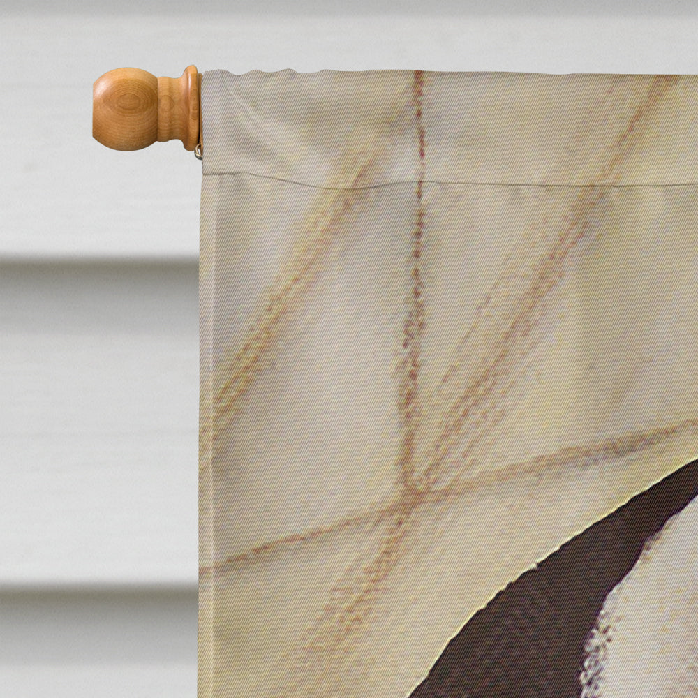 Bull Terrier English Bully House Flag 28x40 Porch Sleeve Pole Decorative Outside Yard Banner Artwork Wall Hanging, Polyester