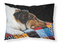 Day Dreamer Collie Standard Pillowcase Lightweight Super Soft Easy Care Decorative Artwork Pillowcase, Standard